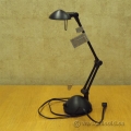 Catalina Dual Brightness Halogen Double Reach Arm Desk Lamp